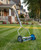 American Lawn Mower Company 2204-14 14-Inch 4-Blade Push Reel Lawn Mower