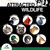 Wildlife Elements Peanut Party Unprocessed, Raw Shelled Peanuts Wildlife Animal Food, 25lb - Rich in Protein, Healthy Fats, and Essential Nutrients for Birds, Squirrels & Waterfowl