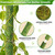 DUSPRO Bulk Pack 10Pcs 22'' Green Stackable Mesh Moss Pole for Plants