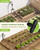RAINPOINT Drip Irrigation System, Quick-Connect Garden Watering System Kit with Adjustable Emitters for Greenhouse, Garden Grid, Raised Bed, Potted Plant