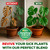 Organic Living Potting Soil for Indoor Plants. By Smart Grower 3lbs