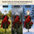 Solar Cardinal Memorial Decorations for Cemetery - Grave Decor LED Lights