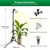 SANSI Grow Light for Indoor Plants, 40W Full Spectrum Standing Plant Light