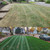 Kentucky Bluegrass & Turf Type Tall Fescue – 25 lbs