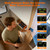 Jlouneo 2000W Pure Sine Wave Inverter, 12V DC to 110/120V AC Power Inverter