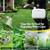 Maygrove 2 Gallon Electric Garden Sprayer, Rechargeable Telescopic Wand