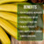 Banana Trees Grand Nain (4 Pack) | Easy to Grow Banana Plants | Edible Fruit Live Plant for Sustainable Living | Grow Your own Food on Your Edible Organic Garden| Live for Planting|