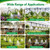 Bonviee 240FT Drip Irrigation System with Adjustable Nozzles