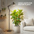 SANSI Grow Lights for Indoor Plants, 32W Plant Lights for Indoor Growing