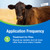 CyLence Pour-On Insecticide | Controls Flies & Lice | Ready-to-Use Solution for Beef & Dairy Cattle | 1 Pint