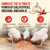 Naturals Armor Chicken Dewormer Powder, Chili Mix Wormer for Flock Poultry