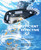 Pool Vacuum for Above Ground Pool with a Telescopic Pole