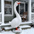 FOREVJHMM Porch Goose Statue Outdoor 20" Large White Porch Goose Garden Decor,Goose Sculpture for Lawn,Patio,Balcony,Yard Ornament,Cute Resin Goose Figurine Gifts for Mom Grandma Women