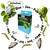 TOPBUXUS Boxwood Anti Caterpillar (BTK) - Organic Control for Box Tree Moth - Covers 2,150 sq ft of Boxwood Foliage