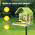 Birdfy Smart Bird Feeder with Camera Solar Powered, Premium Metal Design