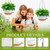 SQKH 12 Inch Hanging Baskets 2 PC with Chains, Self-Watering Hanging Planters for Indoor Outdoor Plants, Plastic Hanging Flower Pots,White Brown