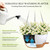 SQKH 12 Inch Hanging Baskets 2 PC with Chains, Self-Watering Hanging Planters for Indoor Outdoor Plants, Plastic Hanging Flower Pots,White Brown