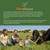 RANCH CHOICE Purple Rechargeable Livestock Prod for Cow Goat Sheep Pig Animal Waterproof Cattle Prod with Flexible Shaft