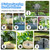 NFESOLAR 6.5W Solar Fountain Pump with 3600mAh Battery, Solar Water Fountain & Pond Filter Box kit, 3.94FT Tubing, 8 Nozzles, Dry-Run Protection Water Pump for Small Ponds, Bird Baths & Garden