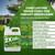 2X Grass Paint for Lawn, Concentrated Turf Colorant for Vibrant Color, 32oz