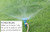 Jacklin Seed by Barenbrug - Heisman Mix | 85% Kentucky Bluegrass, 15% Perennial Ryegrass | Certified Grass Seed (5 lbs (2,000 sq ft))