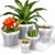 OUPSAUI 35 Pack 4/6/8/10/12 Inch Clear Nursery Pots with Drainage Hole, Clear Large Plastic Pots for Plants, Transparent Variety Seedling Planter for Vegetable Flowers Fruits
