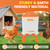 Lilyang Automatic Chicken Waterer 3 Gallon, Auto Water Refill