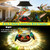 Solar Glass Hummingbird Feeder for Outdoors - 26 fl.oz Hummingbird Feeders