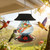 Solar Glass Hummingbird Feeder for Outdoors - 26 fl.oz Hummingbird Feeders