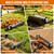 Thatch Rake with Wheels, 15.3-in Head, 21 Steel Tines, 68-in Handle(Orange)