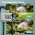QUOBAS Zero Pressure Water Timer, Brass Sprinkler Timer for Garden Hose