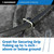 Sandbaggy 6 inch Landscape Sod Staples (8 Gauge Steel) | Great for Hard & Rocky Soil | 40% Thicker Than Standard 11 Gauge | Trusted by Farmers & Contractors Across USA (100 Staples)