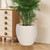 YNNICO 17.5/14.8/12.2 inch Large Flower Pots Plastic Planter with Drainage