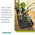 Gardeners Supply Company Large Plant Tray