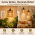 2 Pack Hanging Grow Lights for Indoor Plants Boho Rattan Plant Light