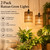 2 Pack Hanging Grow Lights for Indoor Plants Boho Rattan Plant Light