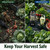 YAOSAN Hawk Decoy to Scare Birds Away - Owl & Hawk Garden Decoy Combo, 2X Protection Wind-Activated Bird Deterrent for Farms & Yards, 50% Larger Size (15")