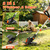 Electric Weed Wacker Eater String Trimmer Weed Whacker Battery Operated 21V