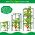 6 Pack 49" Square Tomato Cages, Heavy Duty Steel Tomato Trellis Kit