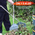 YEELOR Leaf Grabber Rake, 37.7 Inches, 3.4 Pounds（Angle Grip）
