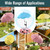 3 Pack Plant Umbrellas for Outdoor Plants, 24" Larger Flower Umbrella with Continuously Adjustable Height & Angle, Shade for Plants, 54" Higher Plant Umbrella for Potted Plants, Flowers, Garden Beds