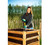 Spear Head Spade SHMini 30" Mini Shovel - Small Shovel with a 6" x 8" Beveled Blade, Steel-Reinforced Fiberglass Short Handle & a Cushioned D-Grip - Small Gardening Spade for Precision Digging