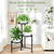 3 Tier Metal Corner Plant Stand Indoor Outdoor, 10 Inch Wide Tray, Black