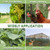 Tilvex Bird Netting 7.5x100 FT, 1/2" Mesh Heavy Duty Garden Netting