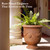 Worth Garden Large Urn Planter - 14" Dia x 16.5" H Lightweight Magnesium Oxide Plant Pot with Cement Texture - Rust-Like Finish Concrete Urn Planter with Drainage Hole for Indoor & Outdoor Decor