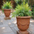 Worth Garden Large Urn Planter - 14" Dia x 16.5" H Lightweight Magnesium Oxide Plant Pot with Cement Texture - Rust-Like Finish Concrete Urn Planter with Drainage Hole for Indoor & Outdoor Decor