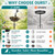 Goodeco Bird Bath with Solar Lantern - 3.2" Deep, 13.8" Removable Bowl