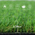 Snailpipi Artificial Grass 2ft x 4ft Pet Turf &Drainage Holes 1.18in THK
