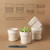 Fayoula Succulent pots,Indoor Small Succulent Bonsai,3 Inch Mini Ceramic Succulent Pots with Saucer and Drainage Hole, Decorative Planter for Succulent, Cactus, Set of 4.