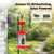 Hummingbird Feeder with Camera Outdoor, 5MP HD Smart Hummingbird Feeder Camera Solar Powered, AI Bird Identification, Ant Moat & Bee Proof, APP Alerts, Hanging or Pole Mount, Gift for Bird Lovers